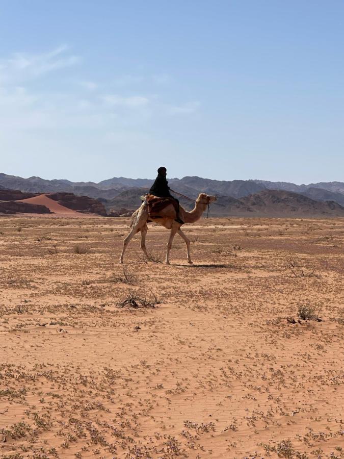 Wadi Rum Desert Camp Exterior photo